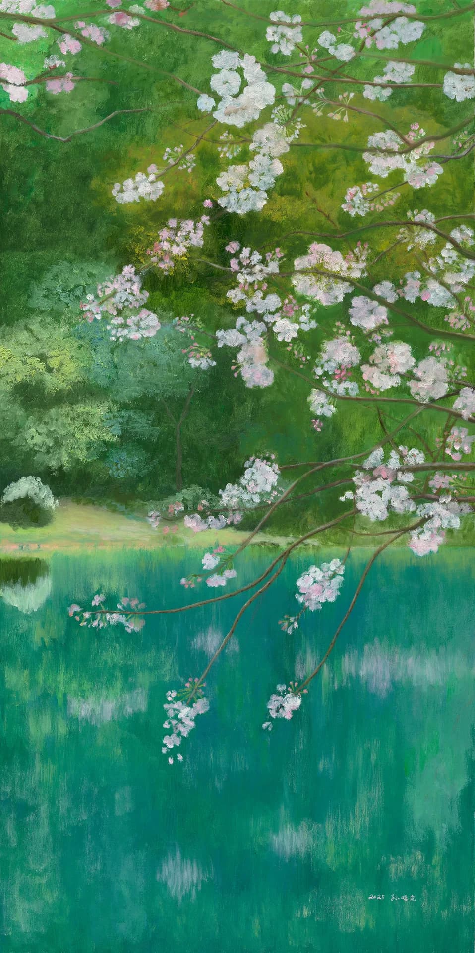 绿野樱梦